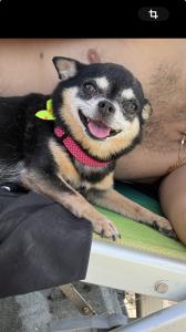 Cherie