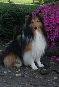 Theodore