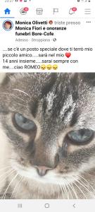 Romeo