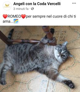Romeo