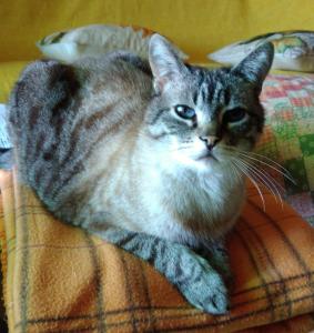 Romeo