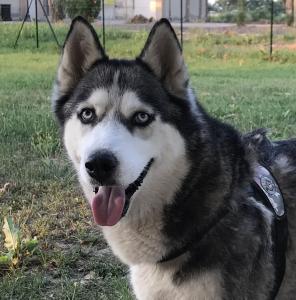 PERLA