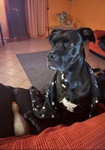 Athena