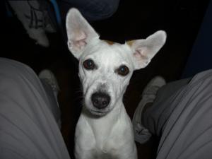 Lul&ugrave;