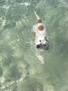 Lul&ugrave;