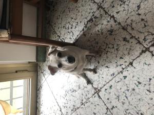 Lul&ugrave;