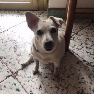 Lul&ugrave;