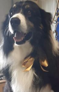 Otto